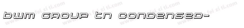 BWM Group TN Condensed字体转换